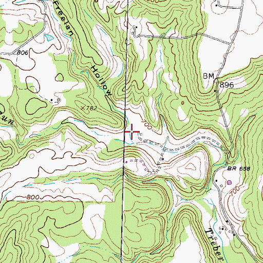 Topographic Map of Freelan Hollow, OH