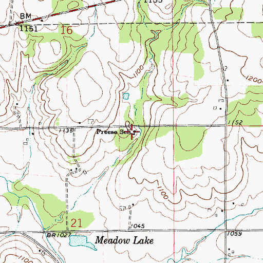 Topographic Map of Freese School, OH