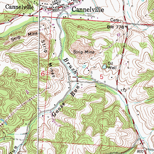 Topographic Map of Goose Run, OH