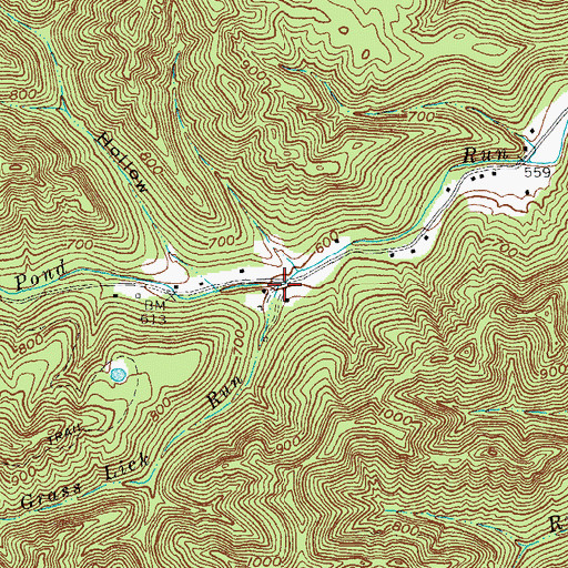 Topographic Map of Grass Lick Run, OH