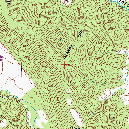 Topographic Map of Grassy Hill, OH