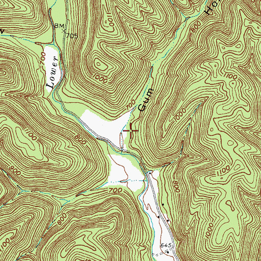 Topographic Map of Gum Hollow, OH
