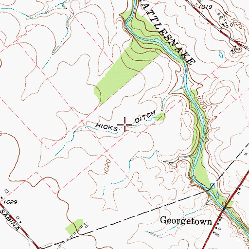 Topographic Map of Hicks Ditch, OH