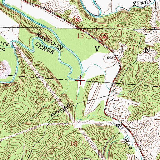 Topographic Map of Hog Run, OH