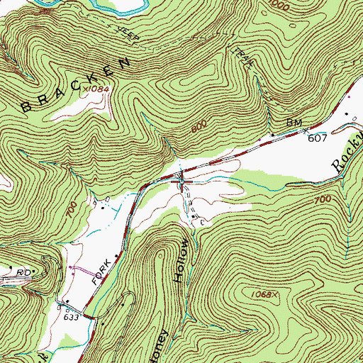 Topographic Map of Honey Hollow, OH