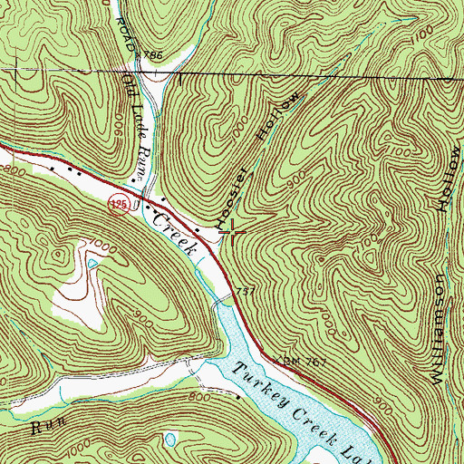 Topographic Map of Hoosier Hollow, OH