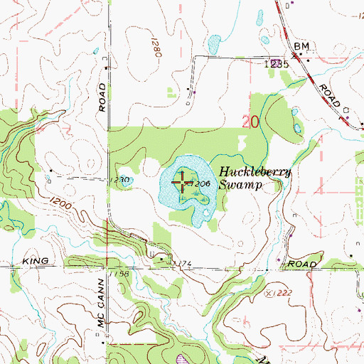 Topographic Map of Huckleberry Swamp, OH