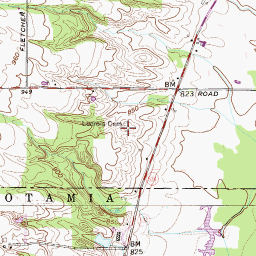 Topographic Map of Loomis Cemetery, OH