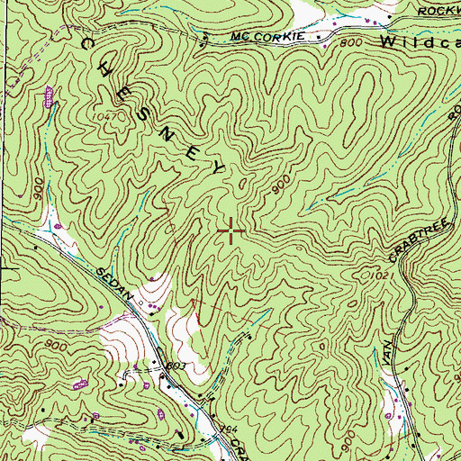 Topographic Map of McChesney Ridge, OH