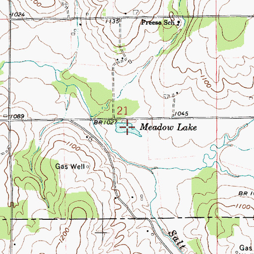 Topographic Map of Meadow Lake, OH