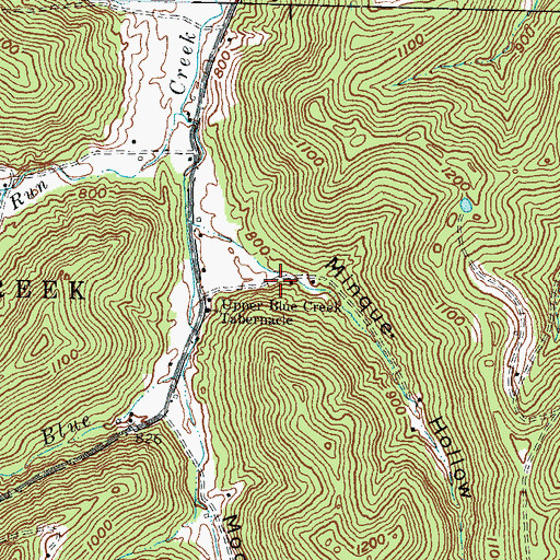 Topographic Map of Minque Hollow, OH