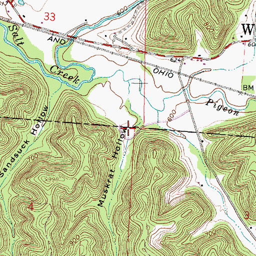 Topographic Map of Muskrat Hollow, OH