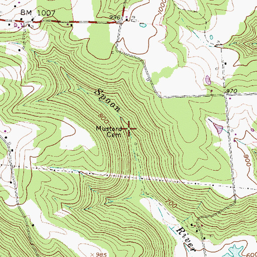 Topographic Map of Mustard Cemetery, OH