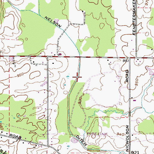 Topographic Map of Nelson Ditch, OH