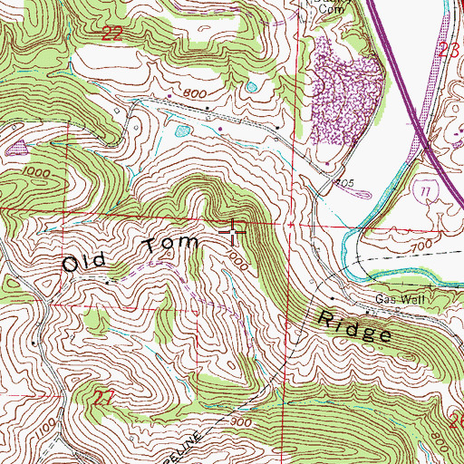 Topographic Map of Old Tom Ridge, OH
