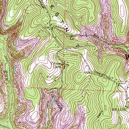 Topographic Map of Oliver Cemetery, OH