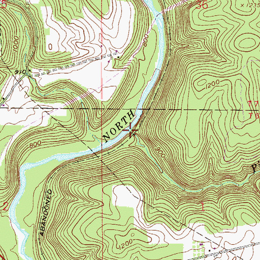Topographic Map of Pine Run, OH