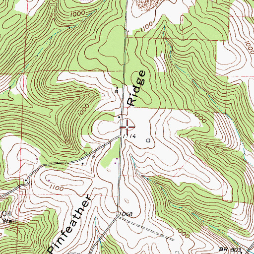 Topographic Map of Pinfeather Ridge, OH