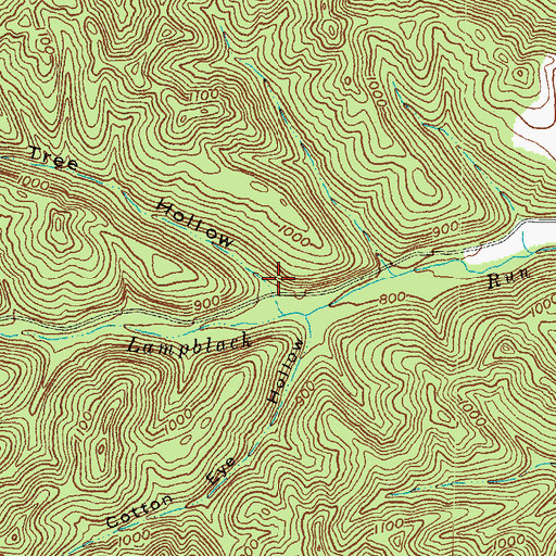 Topographic Map of Poplar Tree Hollow, OH