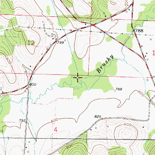 Topographic Map of Priest Run, OH