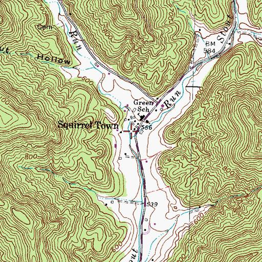 Topographic Map of Puntenney Run, OH