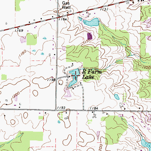 Topographic Map of R Farm Lake, OH