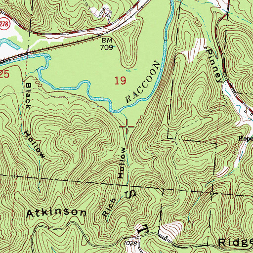 Topographic Map of Rich Hollow, OH