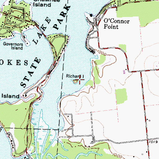 Topographic Map of Richard Island, OH