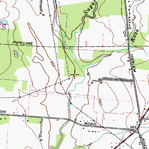 Topographic Map of Rose Run, OH