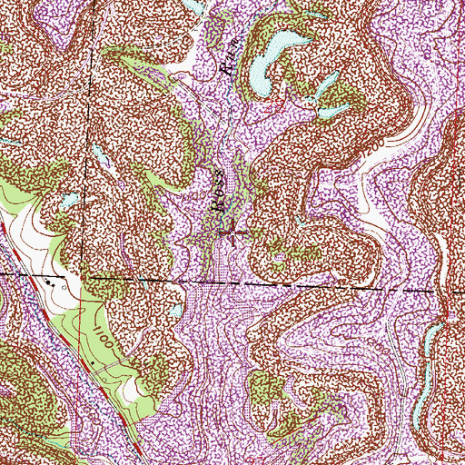 Topographic Map of Ross Run, OH