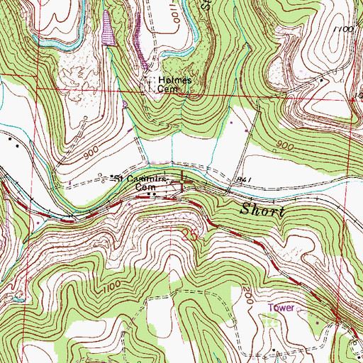 Topographic Map of Saint Casimirs Cemetery, OH