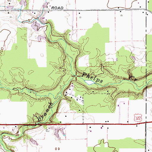 Topographic Map of South Branch Phelps Creek, OH