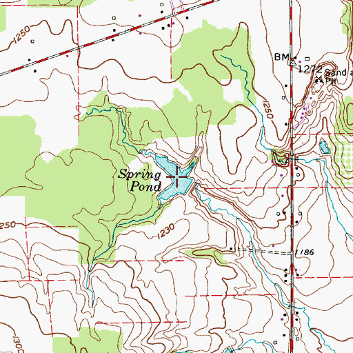 Topographic Map of Spring Pond, OH