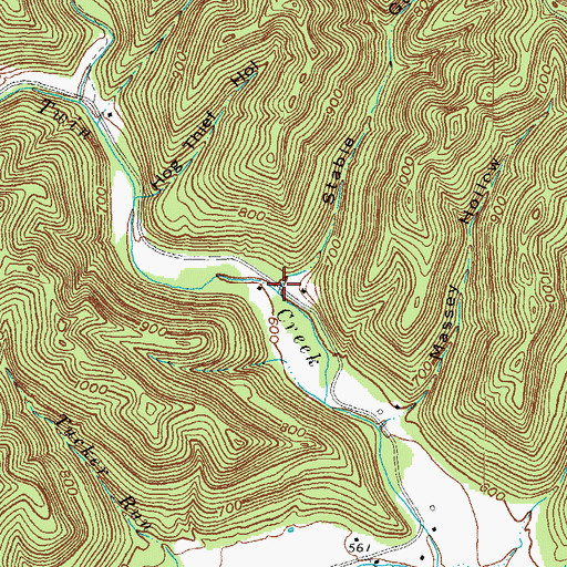 Topographic Map of Stable Gut, OH