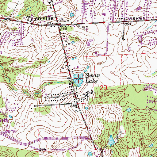 Topographic Map of Swan Lake, OH