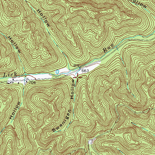 Topographic Map of Swanigen Hollow, OH