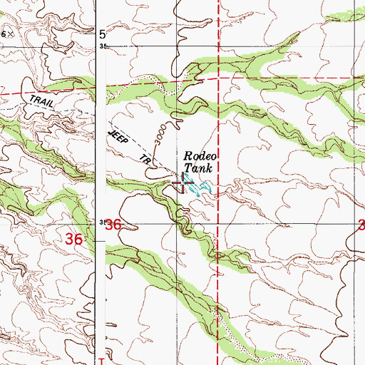 Topographic Map of Rodeo Tank, AZ