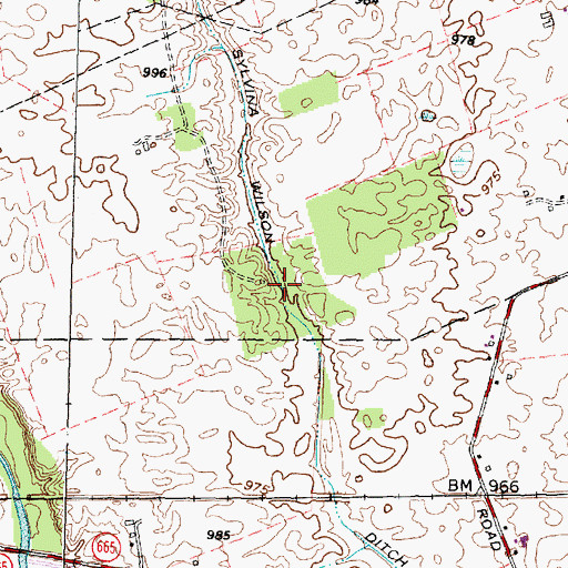 Topographic Map of Sylvina Wilson Ditch, OH