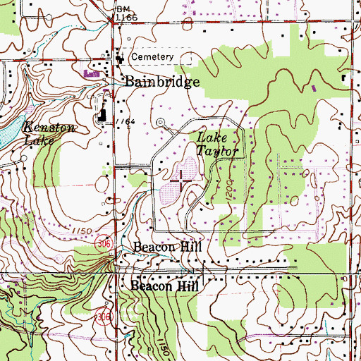 Topographic Map of Lake Taylor, OH