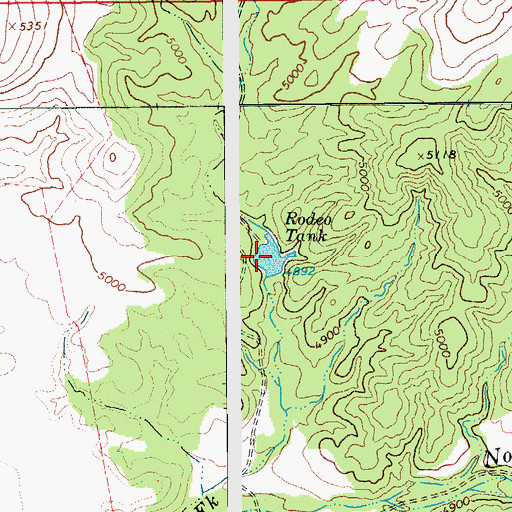 Topographic Map of Rodeo Tank, AZ