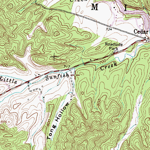 Topographic Map of Tong Hollow, OH