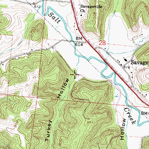 Topographic Map of Turkey Hollow, OH