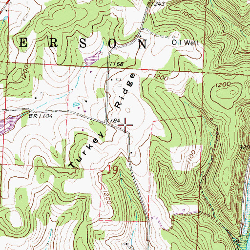 Topographic Map of Turkey Ridge, OH