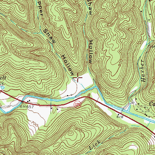 Topographic Map of Upper Shaw Hollow, OH