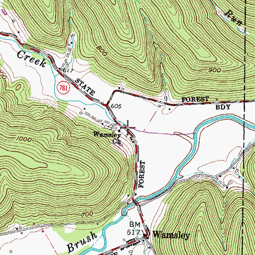 Topographic Map of Wamsley Church, OH