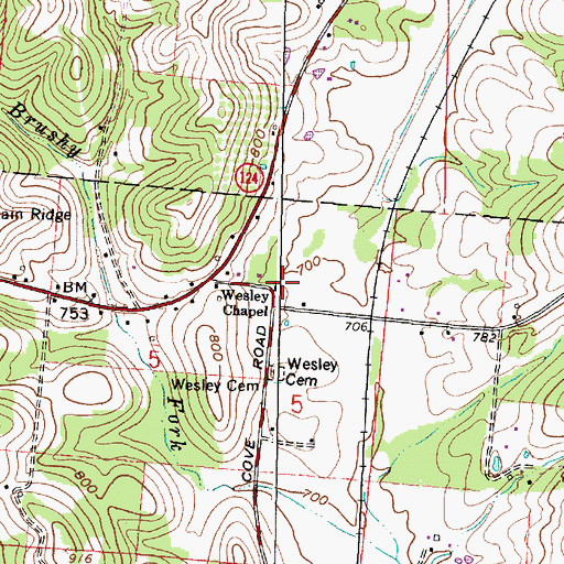 Topographic Map of Wesley Chapel, OH