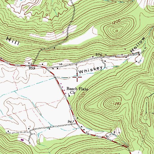 Topographic Map of Whiskey Hollow, OH