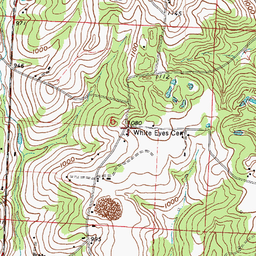 Topographic Map of White Eyes Cemetery, OH