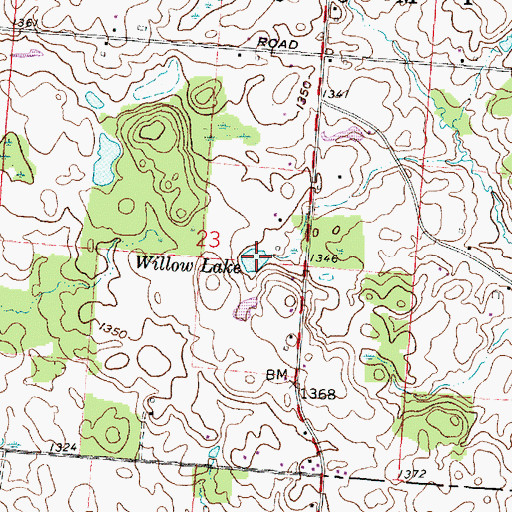 Topographic Map of Willow Lake, OH