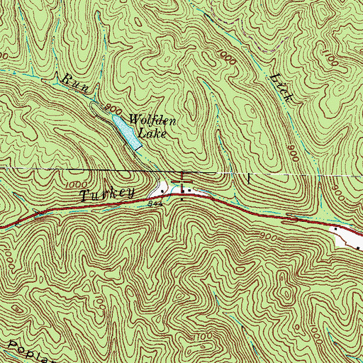Topographic Map of Wolfden Run, OH